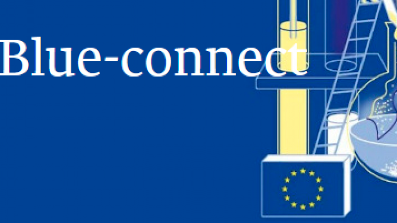 Sveučilište Jurja Dobrile u Puli...