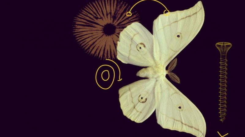 MSCA COFUND 2024 call closure &...