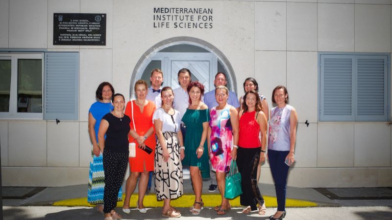 International project meeting and the...