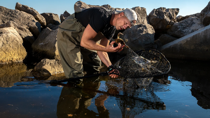 dr. sc. Neven Iveša u časopisu Nature...
