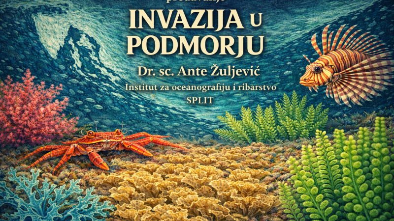 Ante Žuljević. “INVAZIJA U PODMORJU”...