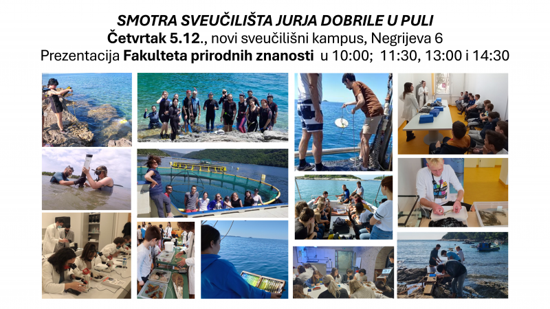 SMOTRA SVEUČILIŠTA 2024